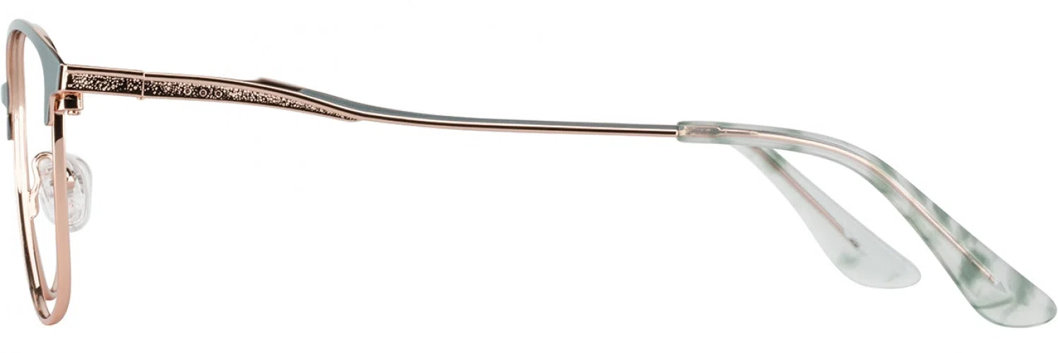 Cote DAzur CDA382 Eyeglasses - view 5